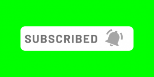 Fybol newsletter success